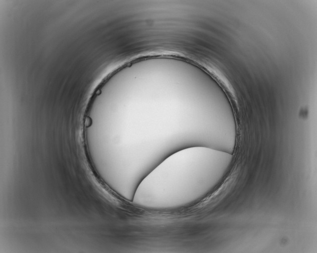 X0000102350797200808010934