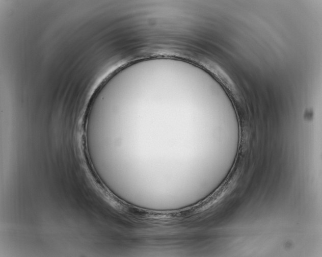 X0000102350798200808010934