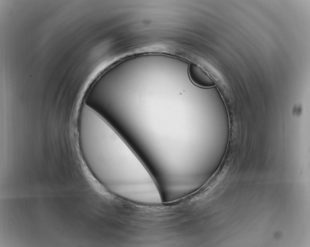 X0000102350800200808010934