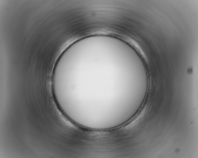 X0000102350802200808010934