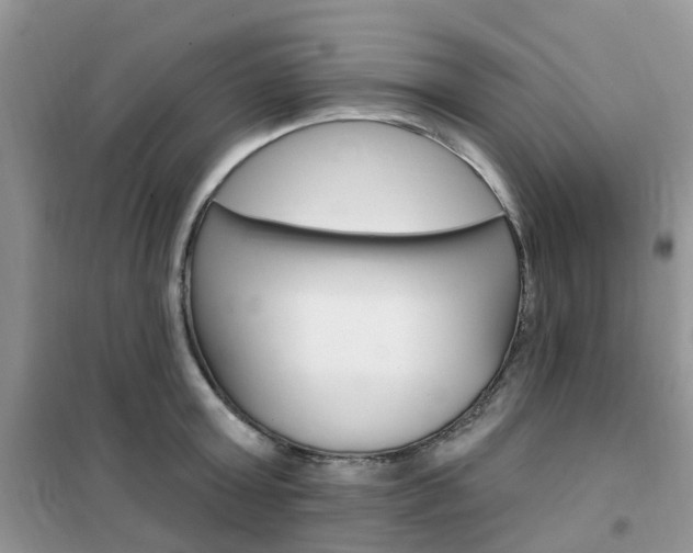X0000102350803200808010934