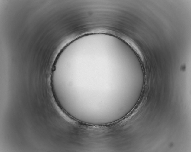 X0000102350805200808010934