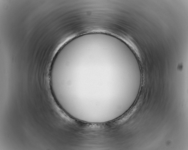 X0000102350806200808010934