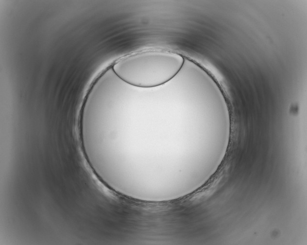X0000102350807200808010934