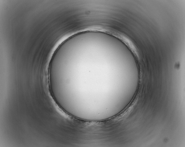 X0000102350808200808010934