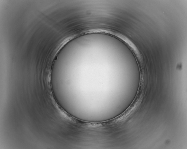 X0000102350809200808010934
