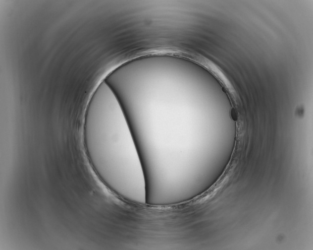 X0000102350810200808010934