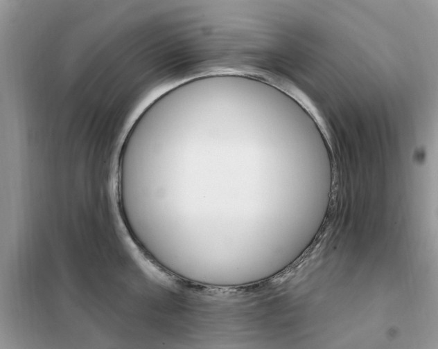 X0000102350811200808010934