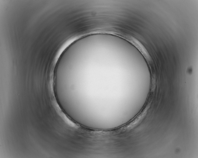 X0000102350812200808010934
