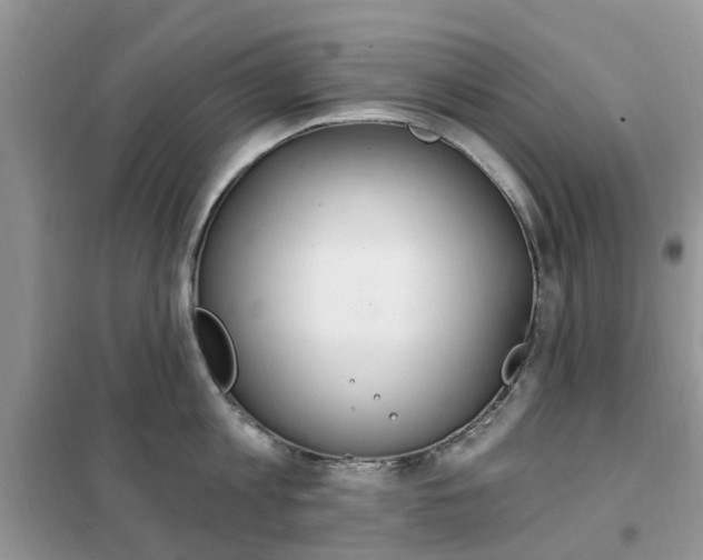 X0000102350813200808010934