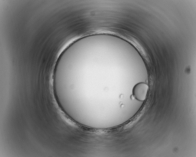 X0000102350814200808010934