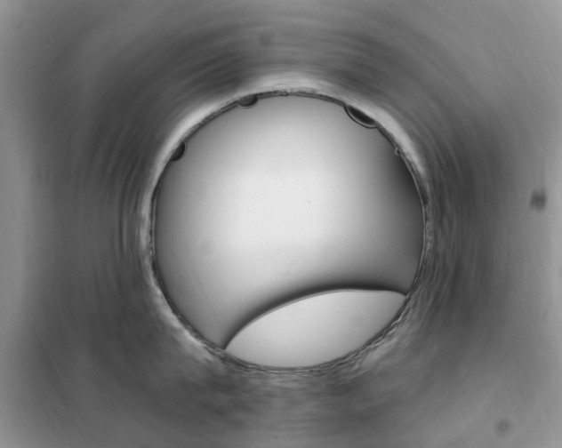 X0000102350815200808010934