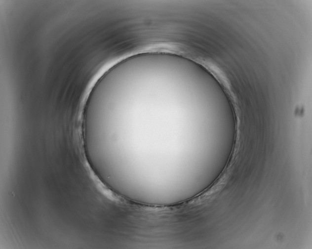 X0000102350816200808010934