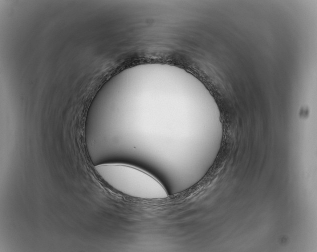 X0000102350817200808010933