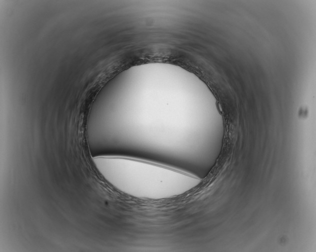 X0000102350818200808010933