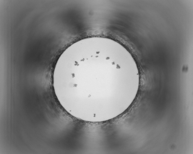 X0000102350820200808010933