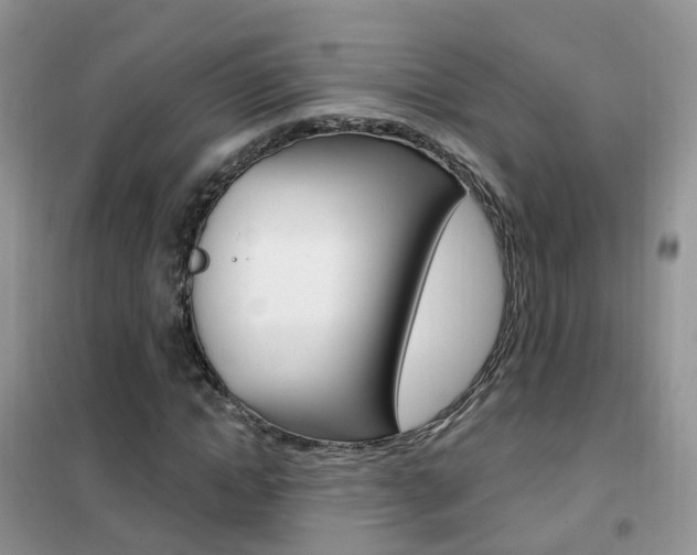 X0000102350822200808010933