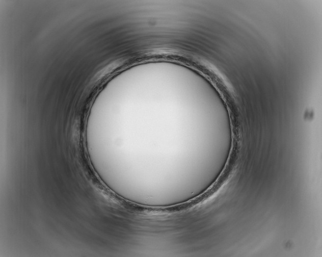 X0000102350825200808010933