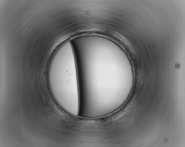 X0000102350826200808010933