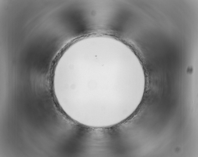 X0000102350828200808010933