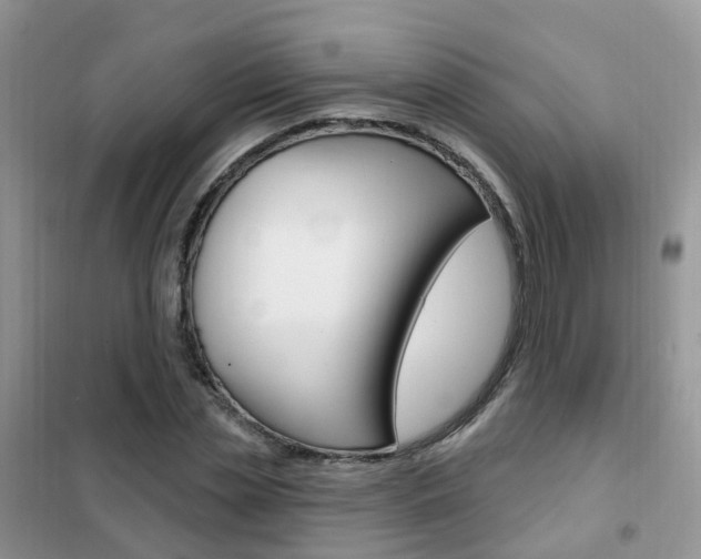 X0000102350829200808010934