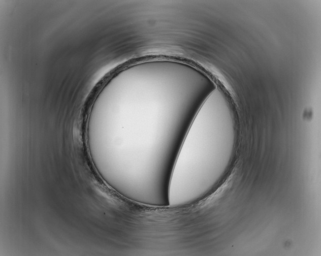 X0000102350830200808010934
