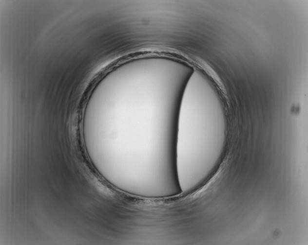 X0000102350831200808010934