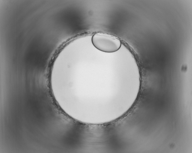 X0000102350832200808010934