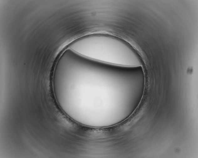 X0000102350834200808010934