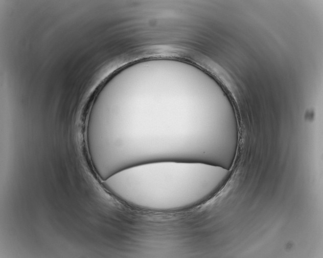 X0000102350835200808010934