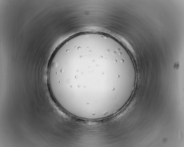 X0000102350839200808010934