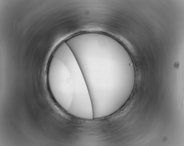 X0000102350840200808010934
