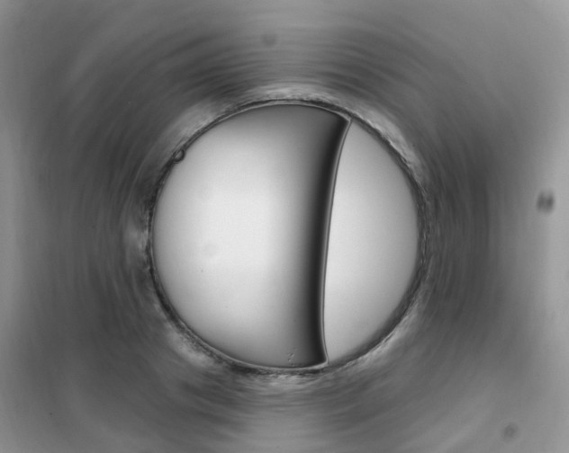 X0000102350841200808010934