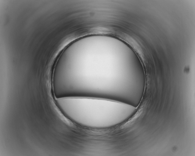 X0000102350843200808010934