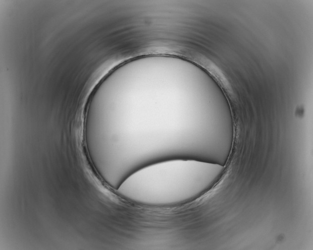 X0000102350844200808010934