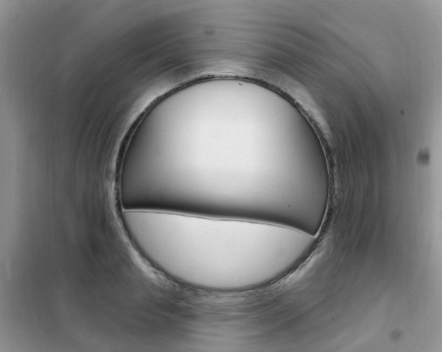X0000102350845200808010934