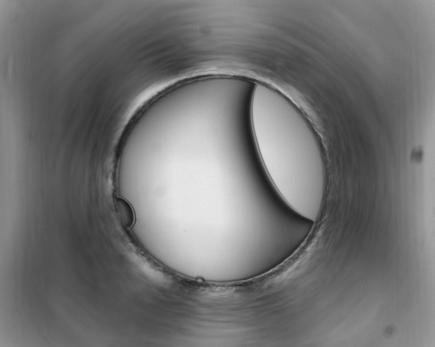 X0000102350846200808010934