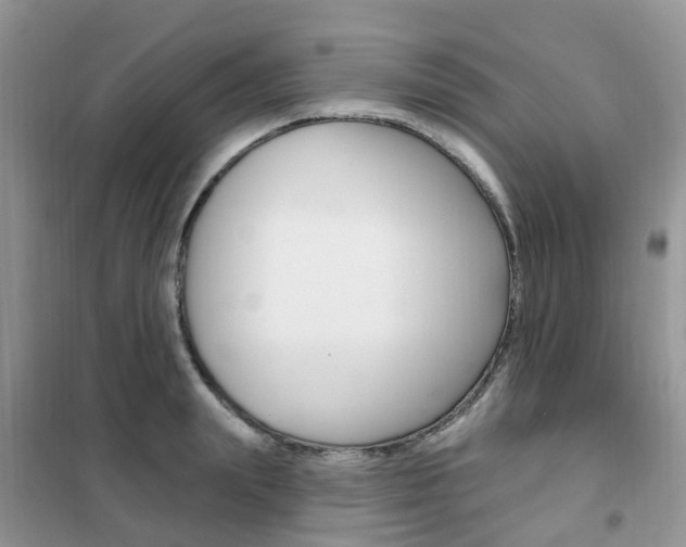 X0000102350847200808010934