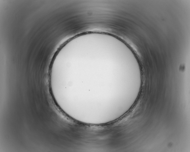 X0000102350848200808010934