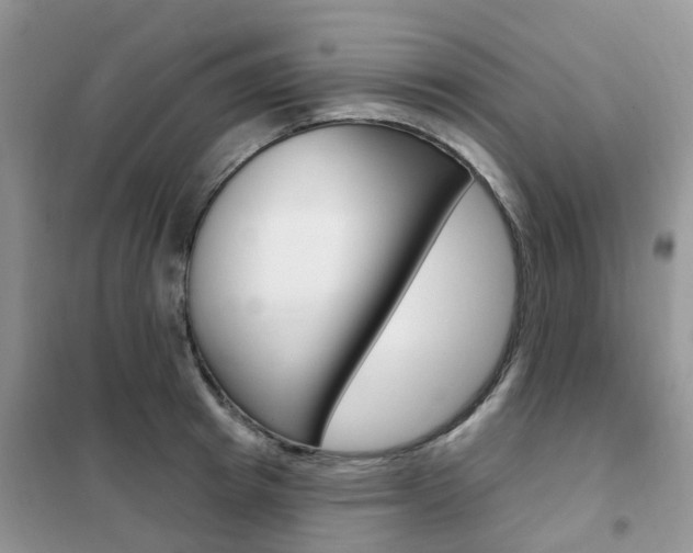 X0000102350849200808010934