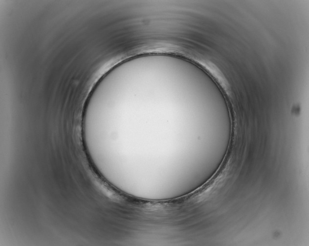 X0000102350850200808010934