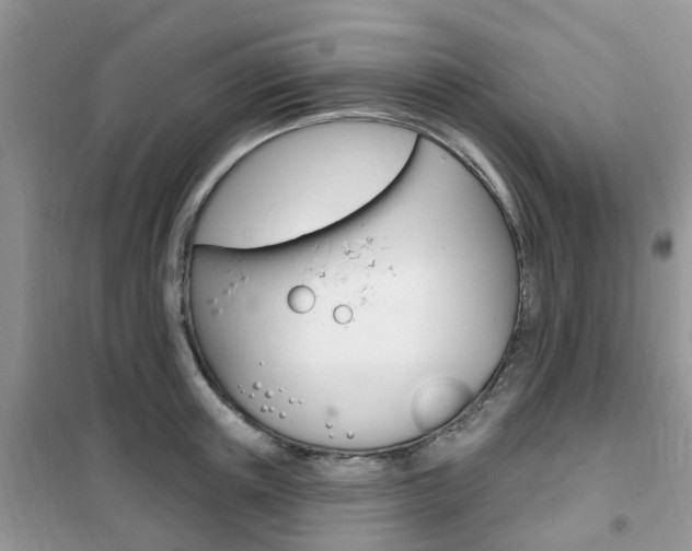 X0000102350851200808010934