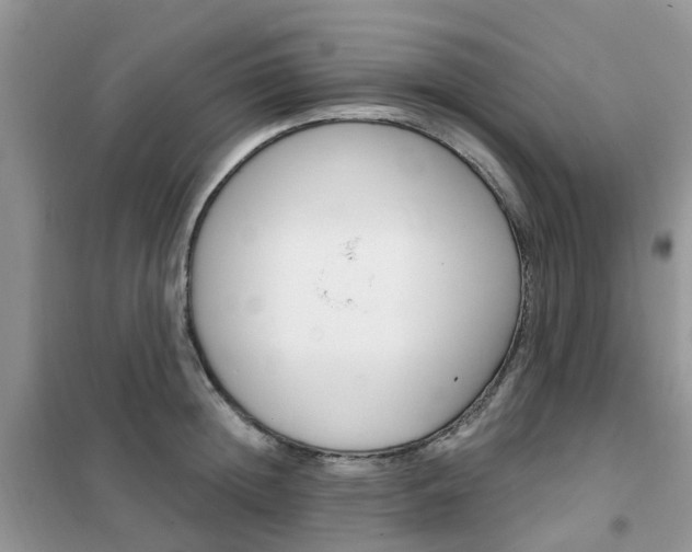 X0000102350852200808010934