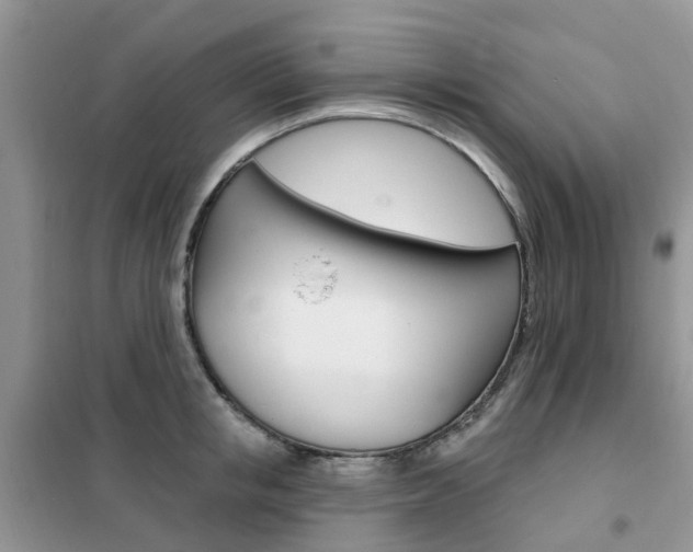 X0000102350853200808010934