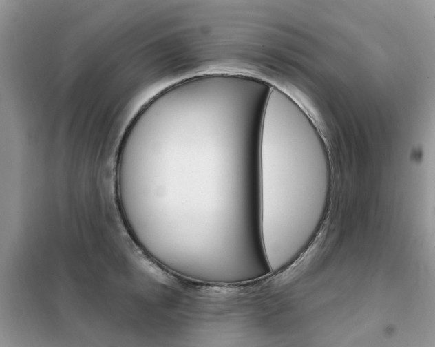 X0000102350854200808010934