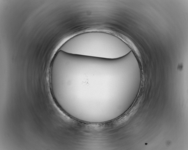 X0000102350855200808010934