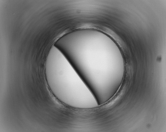 X0000102350857200808010934