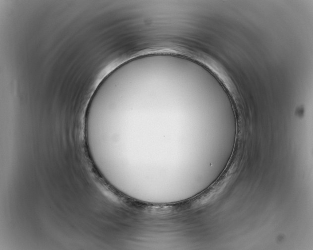 X0000102350858200808010934