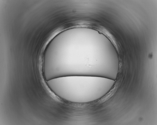 X0000102350859200808010934