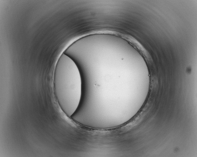 X0000102350860200808010934